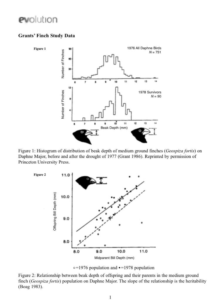 Solved evolution Grants' Finch Study Data Figure 1 1976 All | Chegg.com