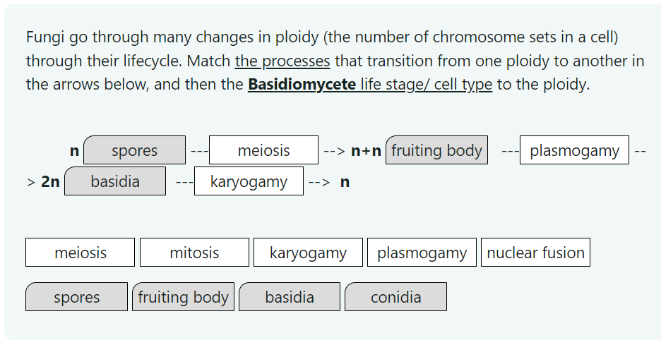 Solved Is This Correct? If Not What Is The Correct Order And | Chegg.com