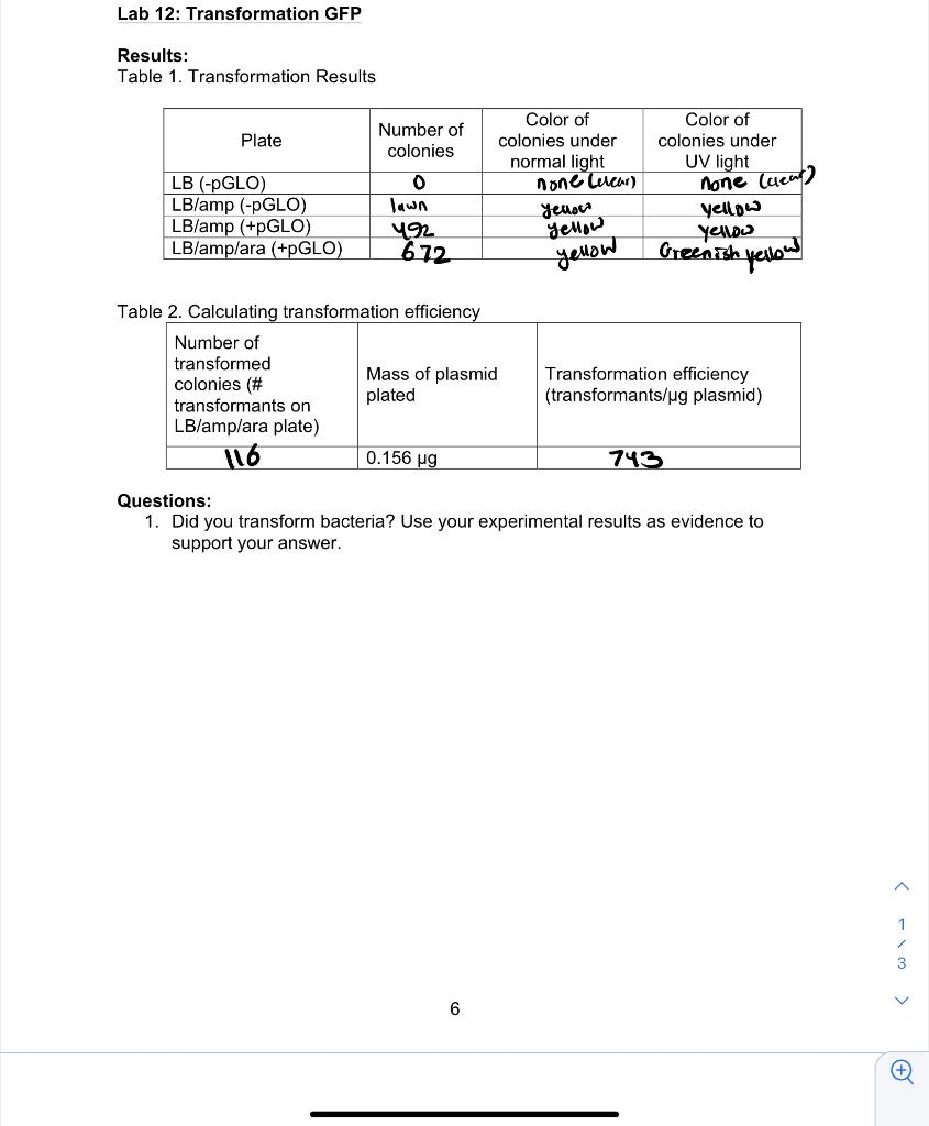 Solved Lab 12: Transformation GFP Results: Table 1. | Chegg.com