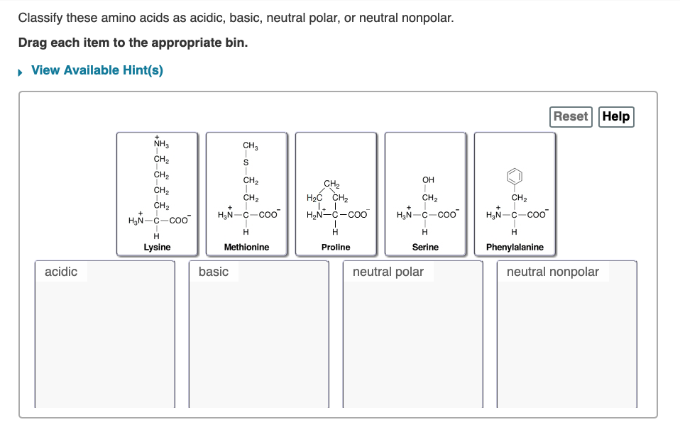 Solved Classify these amino acids as acidic, basic, neutral