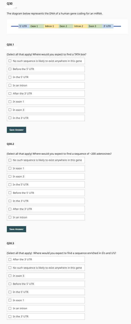 Solved What are the answers to the multiple choice | Chegg.com