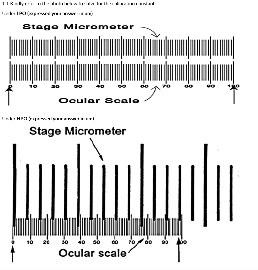 Solved 1.1 Kindly refer to the photo below to solve for the | Chegg.com
