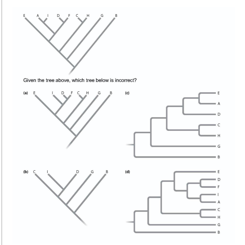 Solved E AL D FC H B Given the tree above, which tree below | Chegg.com