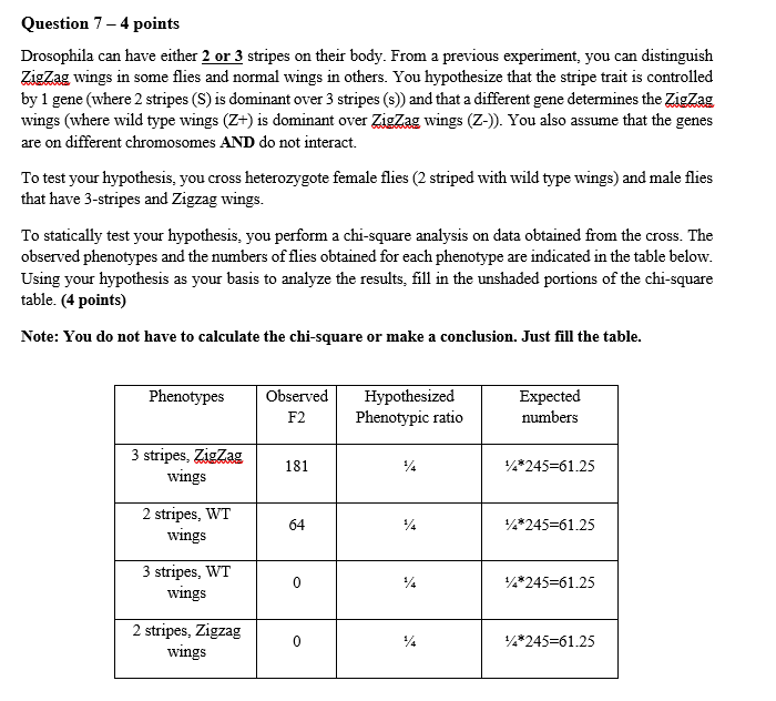 Solved Note: Z = New wing phenotype Zig Zag Z+ wild-type, Z- | Chegg.com