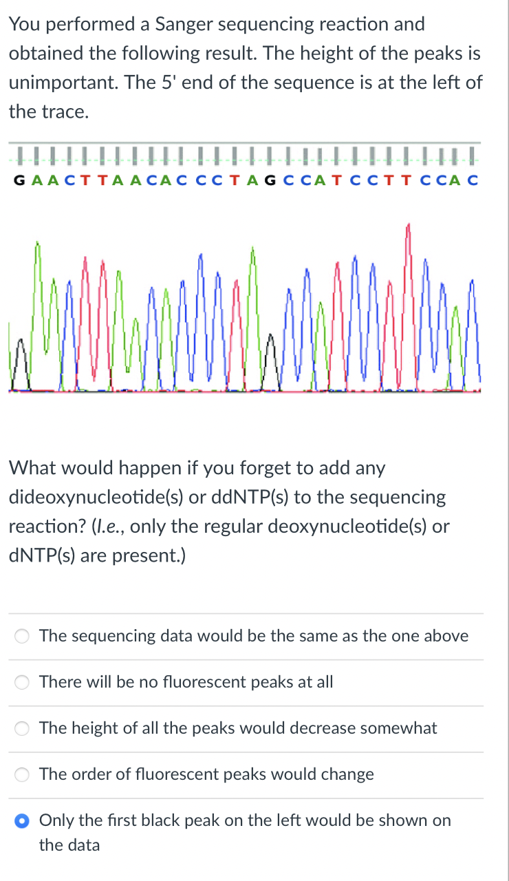 Solved You performed a Sanger sequencing reaction and | Chegg.com