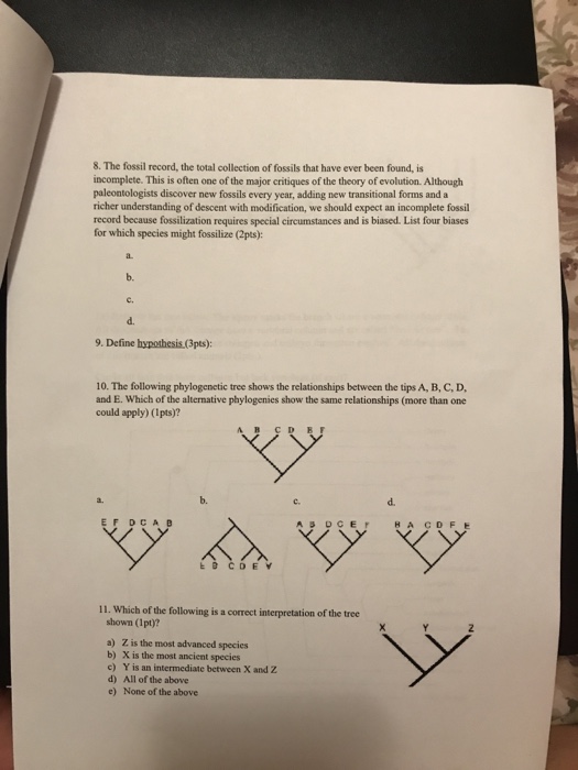 Solved Introduction To Evolution Worksheet 1 Name & ID: | Chegg.com