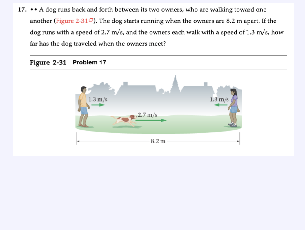 why do dogs run back and forth really fast