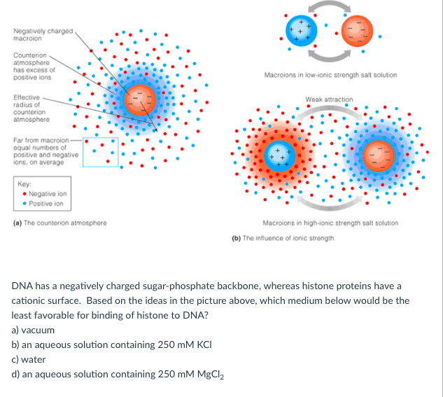 Solved Negatively charged macroion Counterion atmosphere has