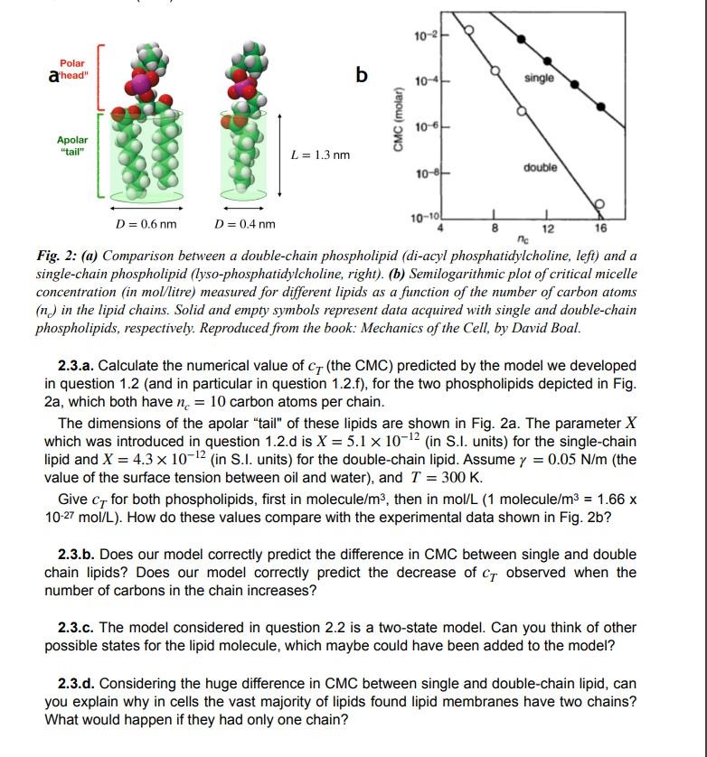 Solved Lipids dissolved in water spontaneously assemble into | Chegg.com