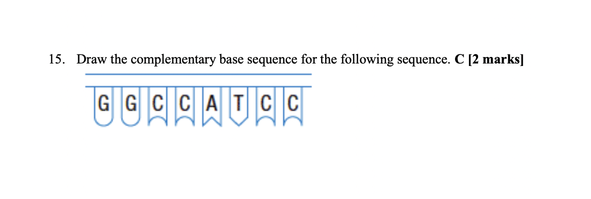 Solved 1. Draw the complementary base sequence for the | Chegg.com