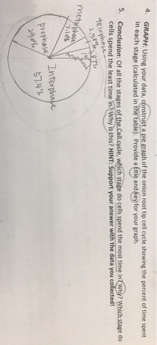 4. GRAPH: Using your data, oonstruct a pie graph of | Chegg.com image.