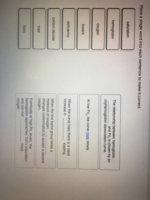 solved-place-a-single-word-into-each-sentence-to-make-it-chegg