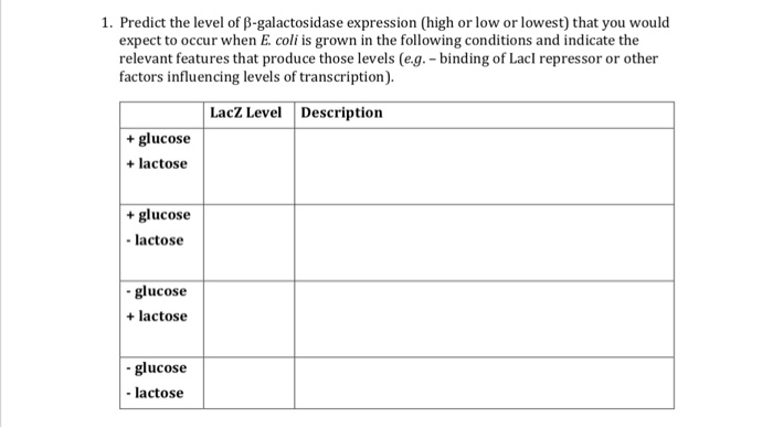 Solved 1. Predict the level of β-galactosidase expression | Chegg.com