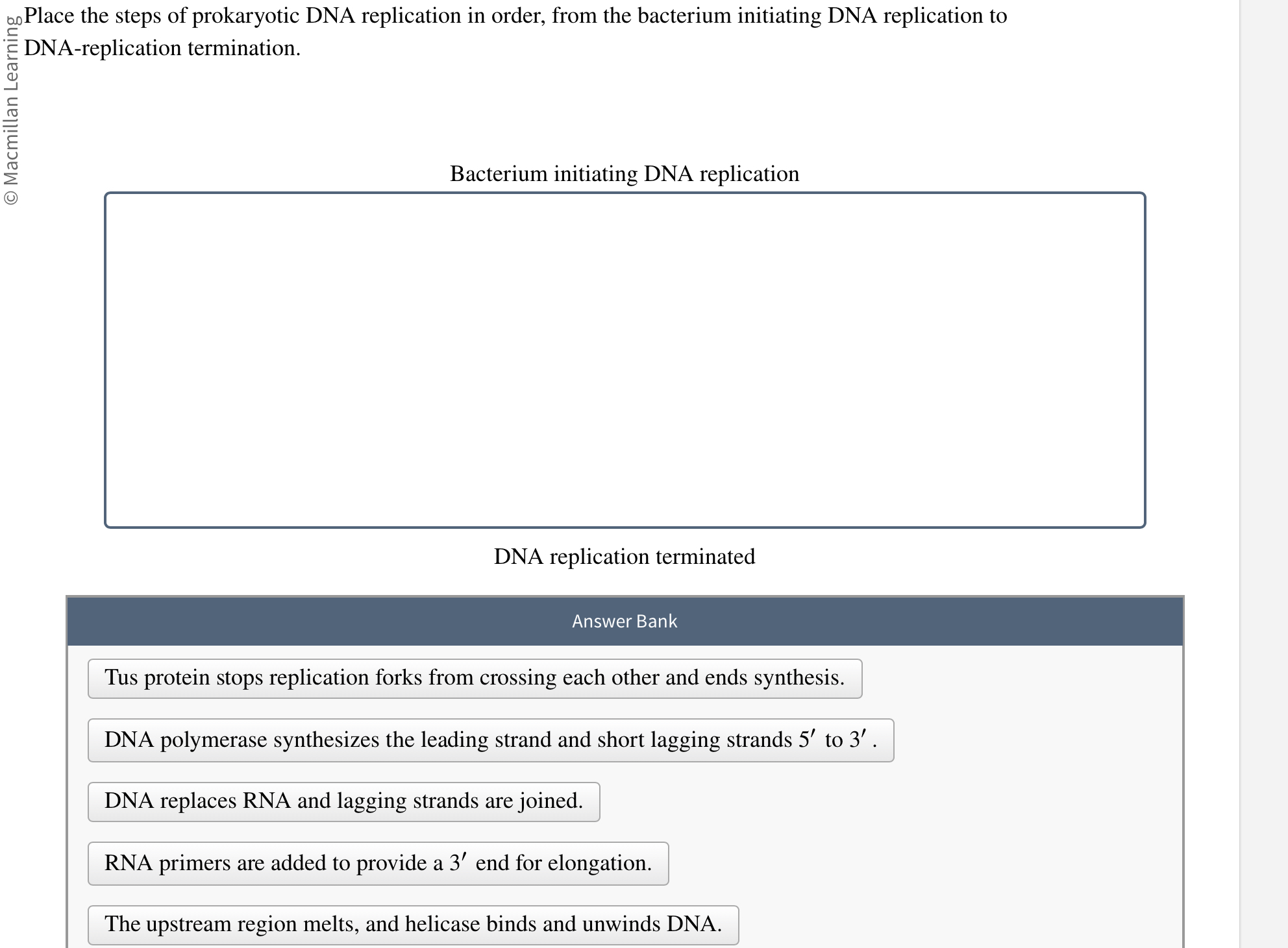 Solved Place the steps of prokaryotic DNA replication in | Chegg.com 