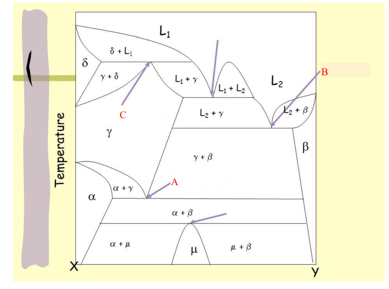 Solved Please See The Labels Of A B C Which Correspondi Chegg Com