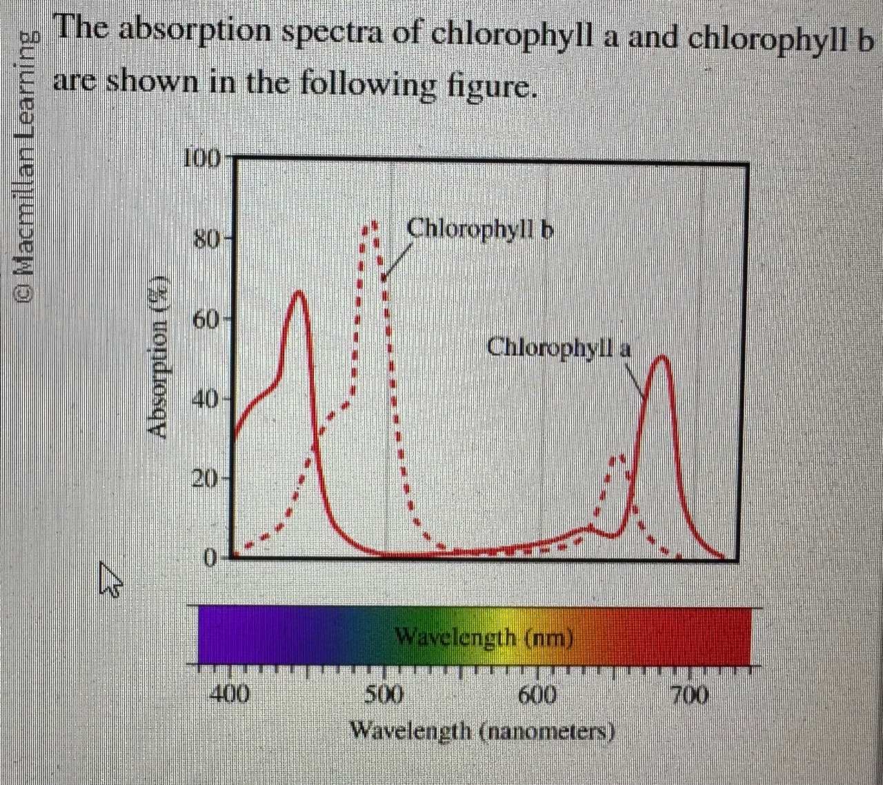 Solved What is the wavelength of maximum absorbance (𝜆max)