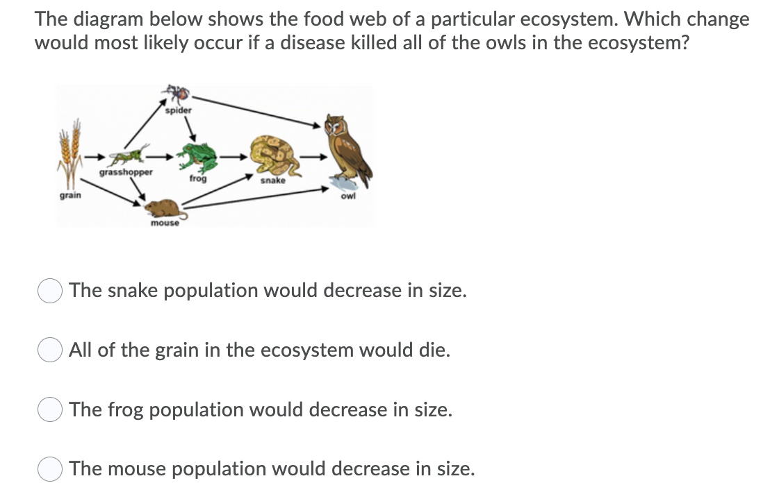 Solved The diagram below shows the food web of a particular | Chegg.com