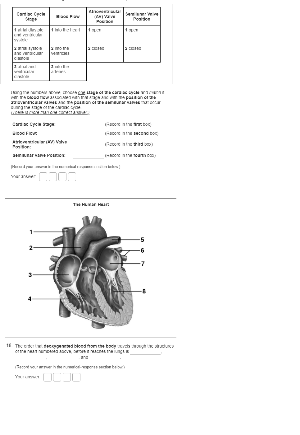 Solved Cardiac Cycle Stage Blood Flow Atrioventricular (AV) | Chegg.com