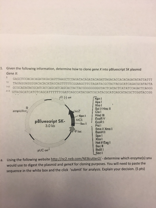 Biology Archive | April 14 2017 | Chegg.com