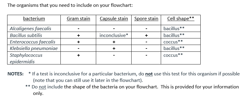 Solved PLEASE help me build a dichotomous (flow) chart to | Chegg.com
