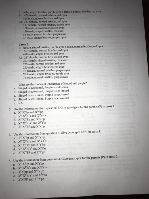 Solved 1. Coat color in cats is determined by genes at