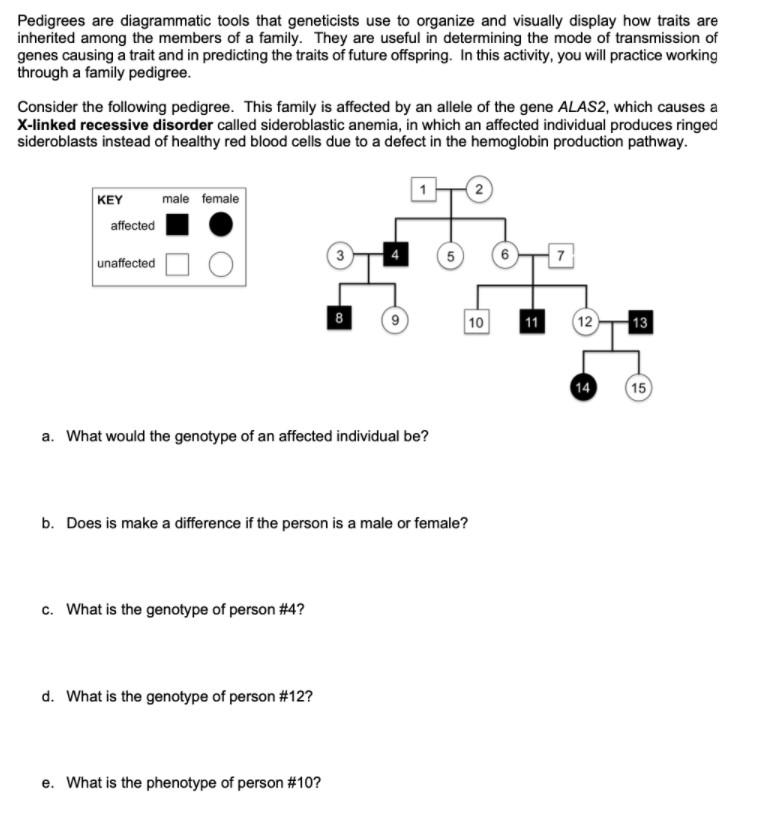 solved-pedigrees-are-diagrammatic-tools-that-geneticists-use-chegg