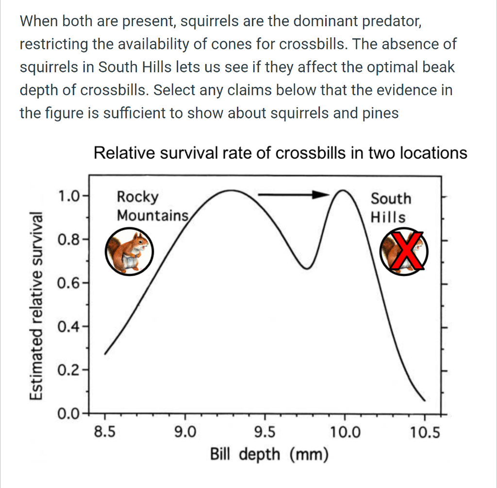 Solved 1.) Answer Options (Can be multiple) Squirrel