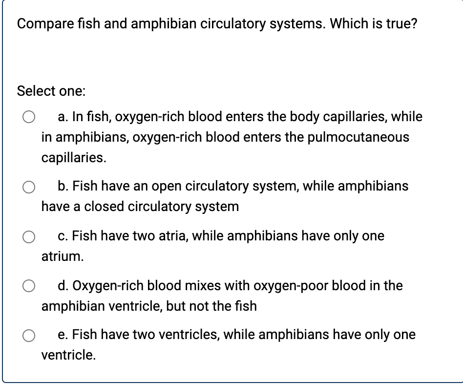 amphibian circulatory system