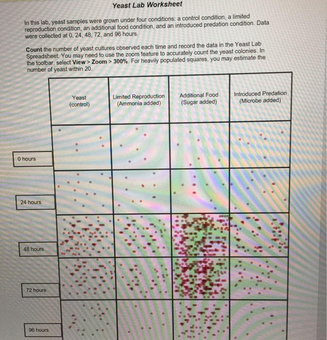Yeast Culture lab outline 1. Introduction a. Define
