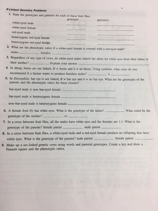 Solved X-Linked Genetics Problems 1. State the genotypes and | Chegg.com