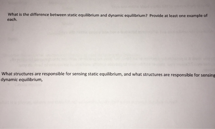 solved-what-is-the-difference-between-static-equilibrium-and-chegg