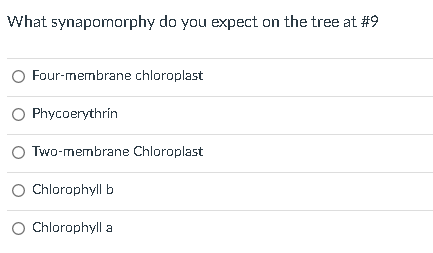 What synapomorphy do you expect on the tree at #9
Four-membrane chloroplast
Phycoerythrín
Two-membrane Chloroplast
Chlorophyl