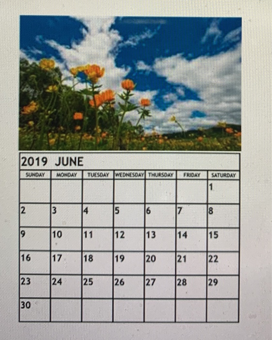Write Python code to draw the following object.Create | Chegg.com