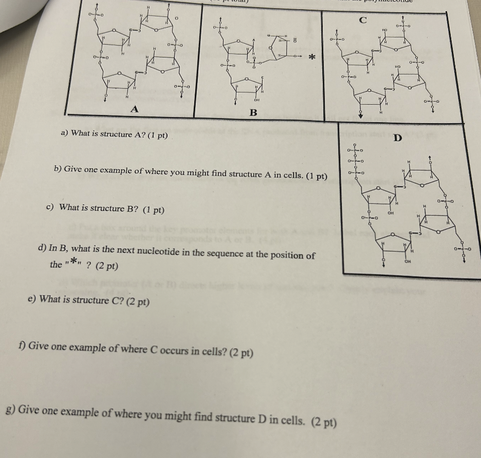 Solved A) ﻿What Is Structure A ? ﻿b) ﻿Give One Example Of | Chegg.com