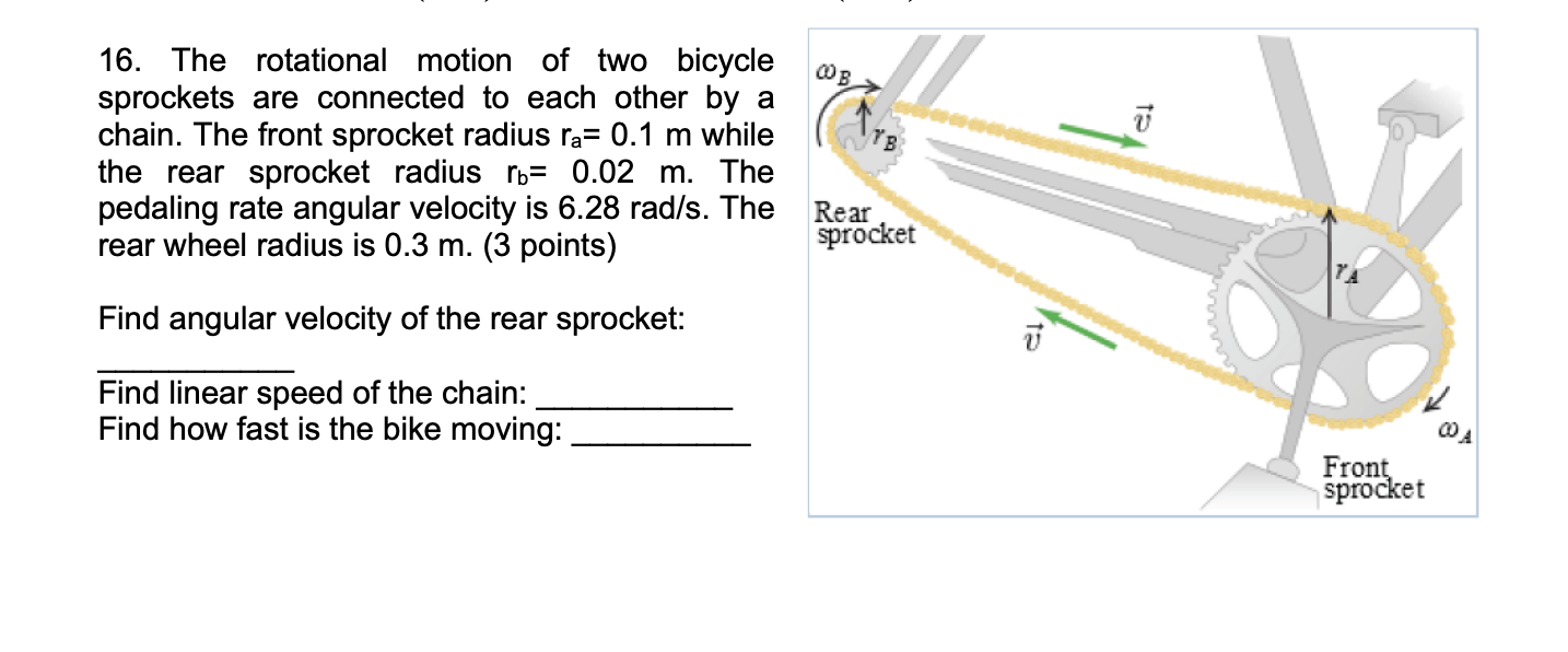 Solved 00B 16. The rotational motion of two bicycle