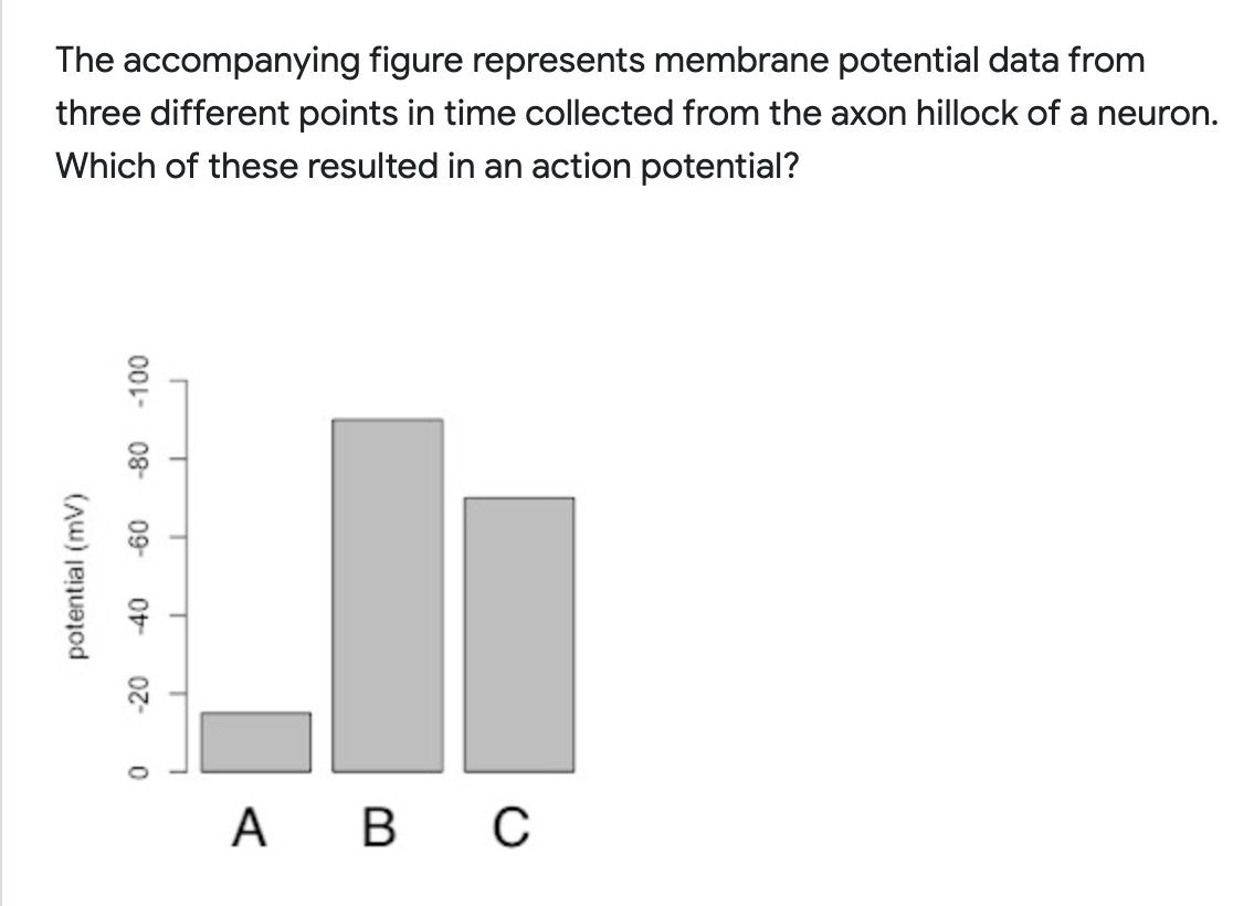 Solved The accompanying figure represents membrane potential | Chegg.com