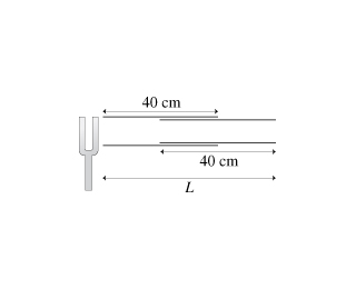 Solved A 40-cm-long tube has a 40-cm-long insert that can be | Chegg.com