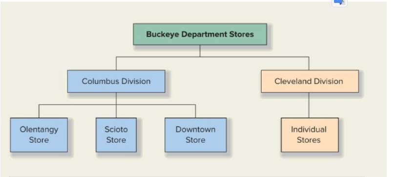 Department Store Organizational Chart