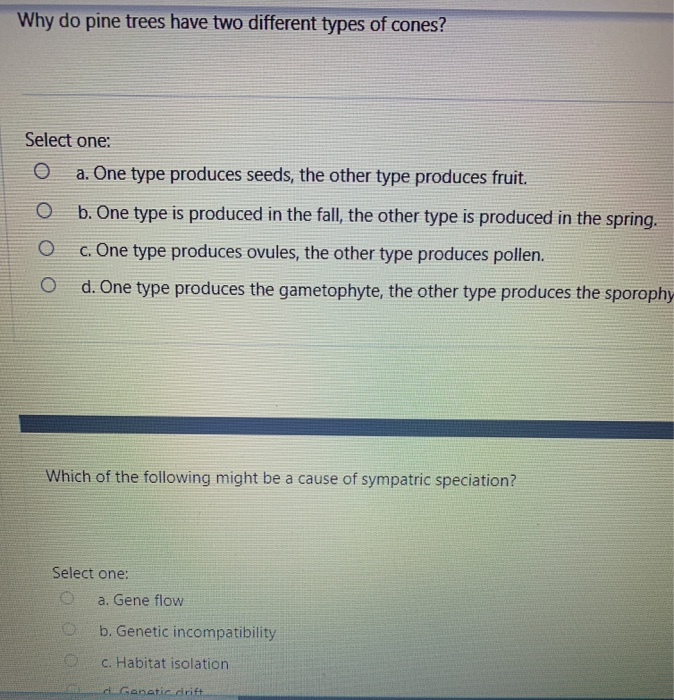 Solved Why do pine trees have two different types of cones?