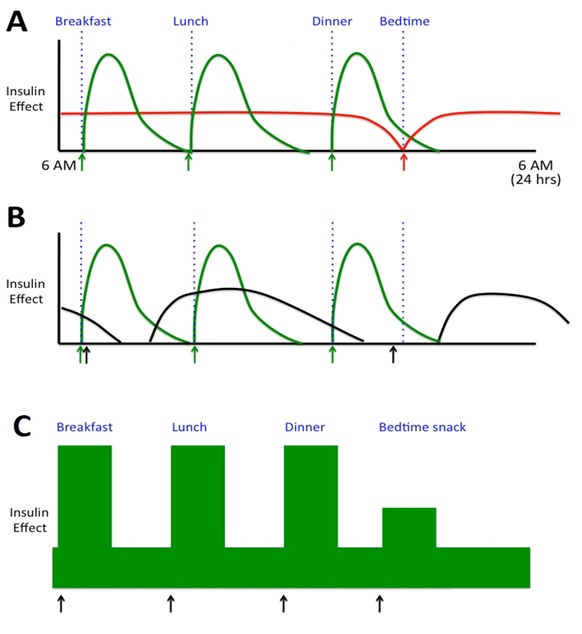 Solved QUESTION 11SCENARIO #5 – IDDM INSULIN PATTERNS | Chegg.com