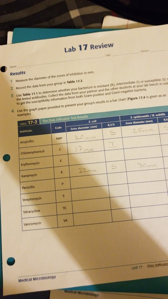 Lab 17 Review Serton Name Results 1 Measure the | Chegg.com