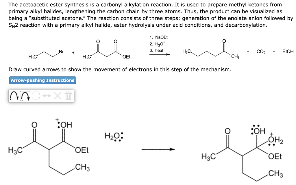 Solved The Acetoacetic Ester Synthesis Is A Carbonyl 5728