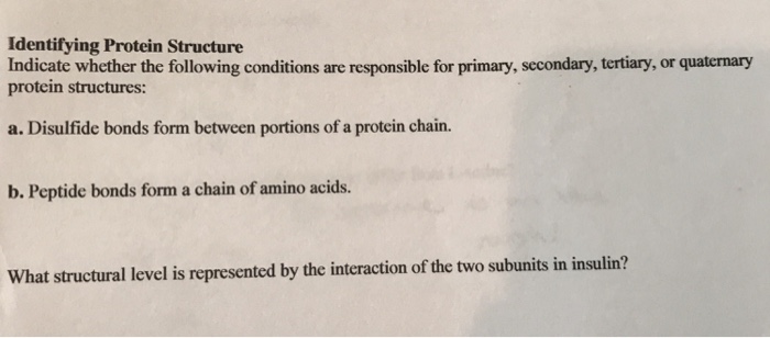 Solved Identifying Protein Structure Indicate whether the | Chegg.com