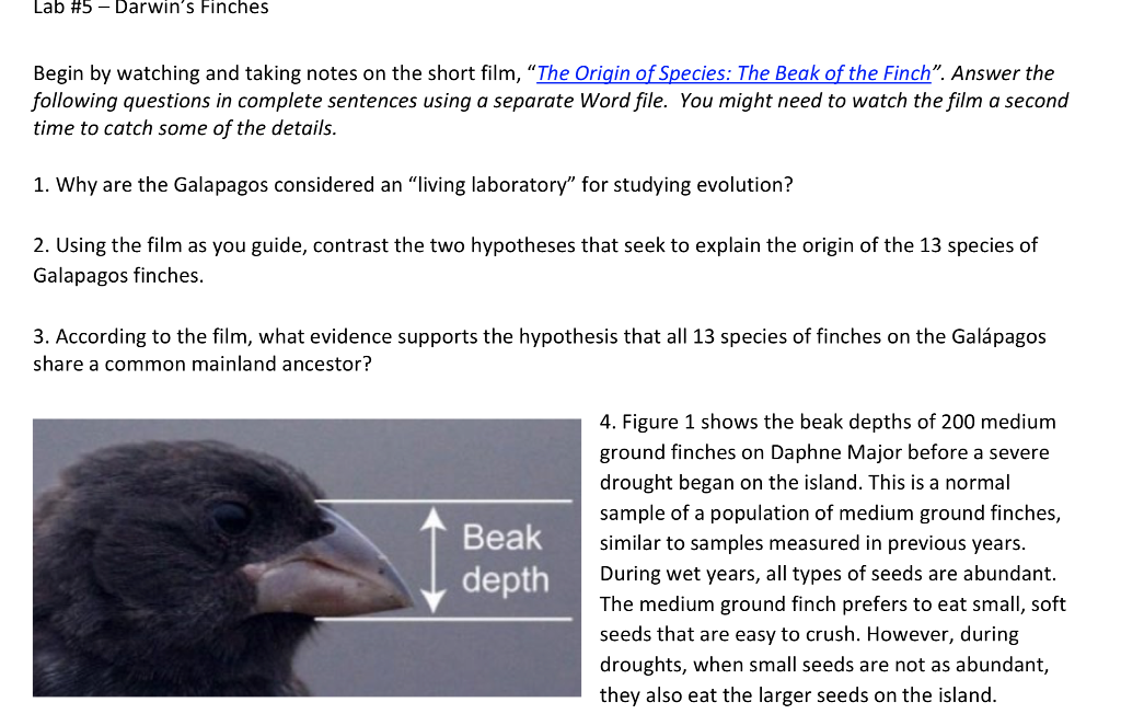 solved-lab-5-darwin-s-finches-begin-by-watching-and-chegg-com