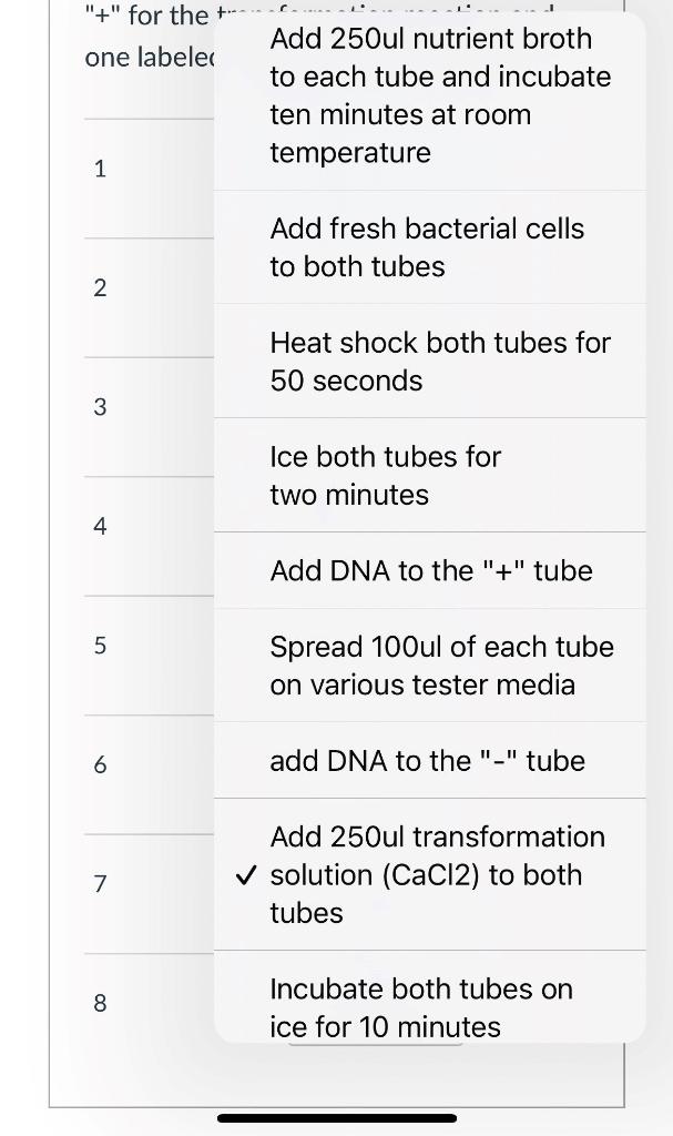 Solved Order the steps in the transformation procedure from | Chegg.com