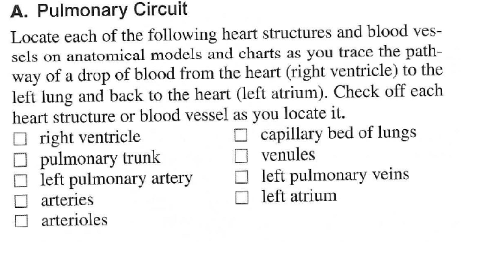 solved-a-pulmonary-circuit-locate-each-of-the-following-chegg
