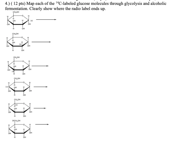 Solved 4.) ( 12 pts) Map each of the *C-labeled glucose | Chegg.com