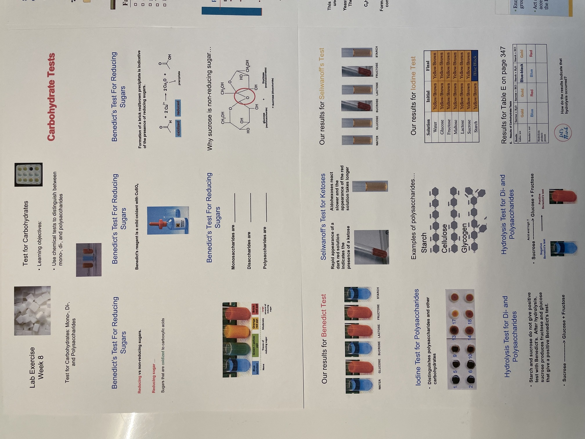 Solved Test For Carbohydrates Lab Exercise Week 8 • Learning | Chegg.com