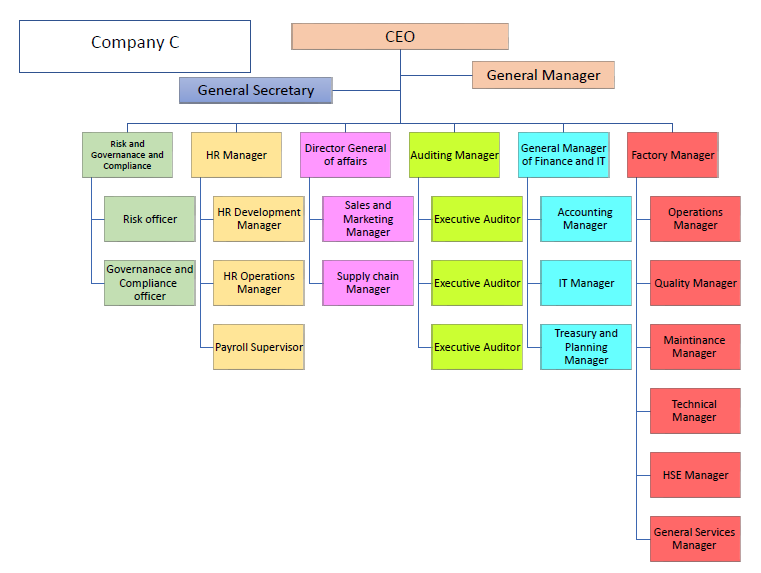 Solved ORGANIZATION CHART Company A Board of Directors Audit | Chegg.com