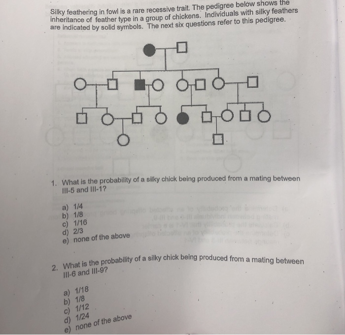 Solved Silky feathering in fowl is a rare recessive trait. | Chegg.com